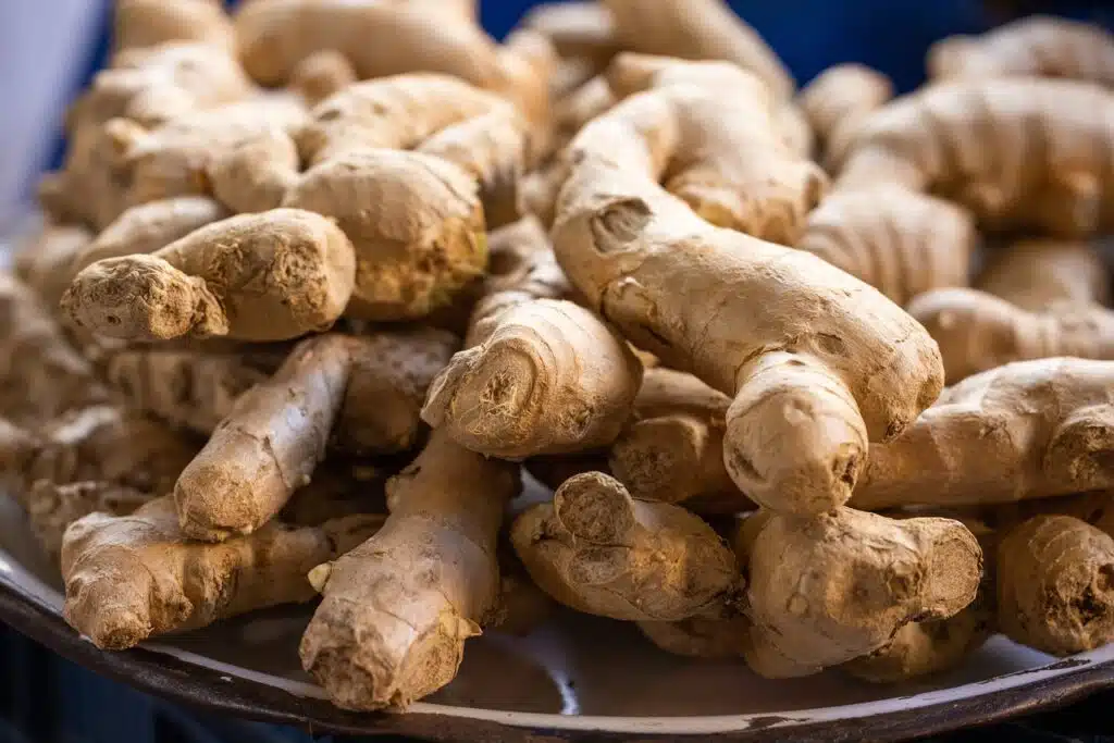 Heap of fresh ginger roots sold in traditional market Indonesia
